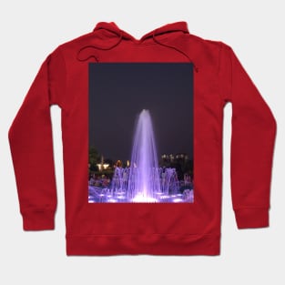 Fountain Hoodie